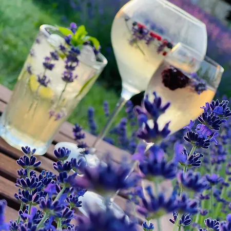 Hazai Provence Hotel