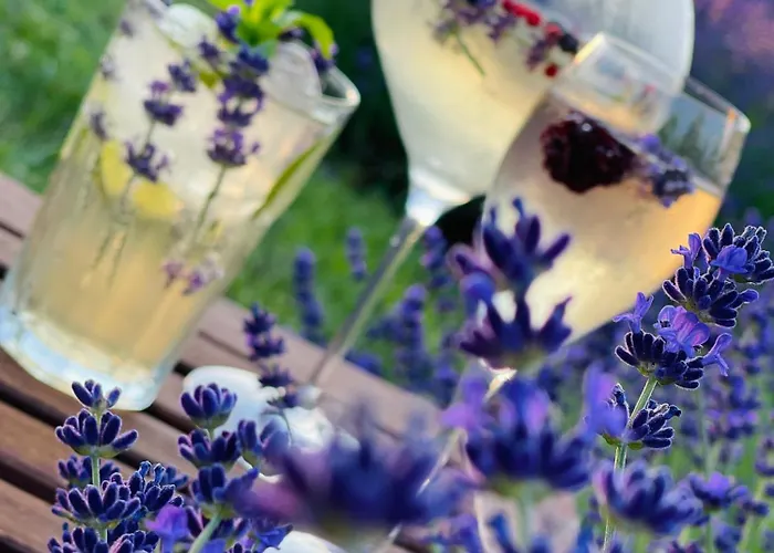 Hazai Provence ホテル