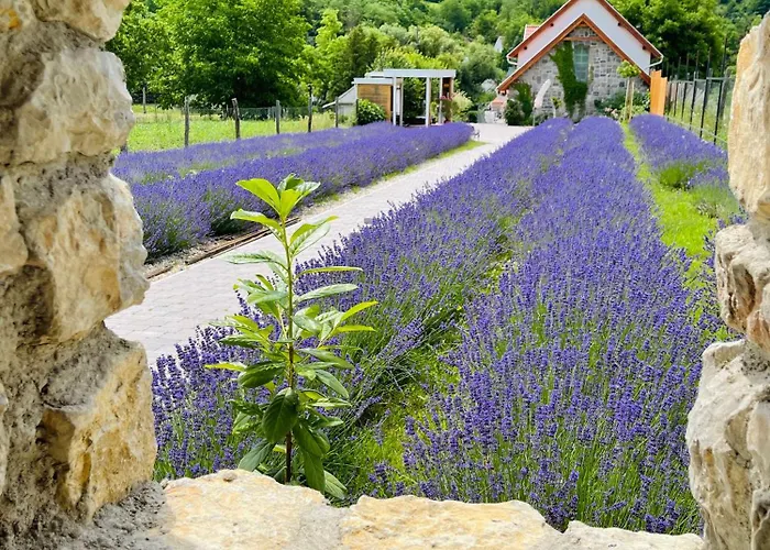 Hazai Provence 4* カポルチ